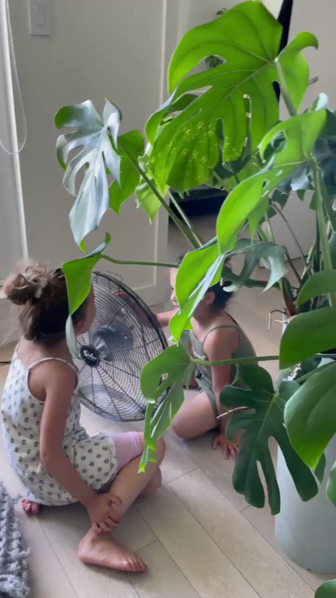 Kids Find Entertaining Way to Cool Down in Vancouver Heat