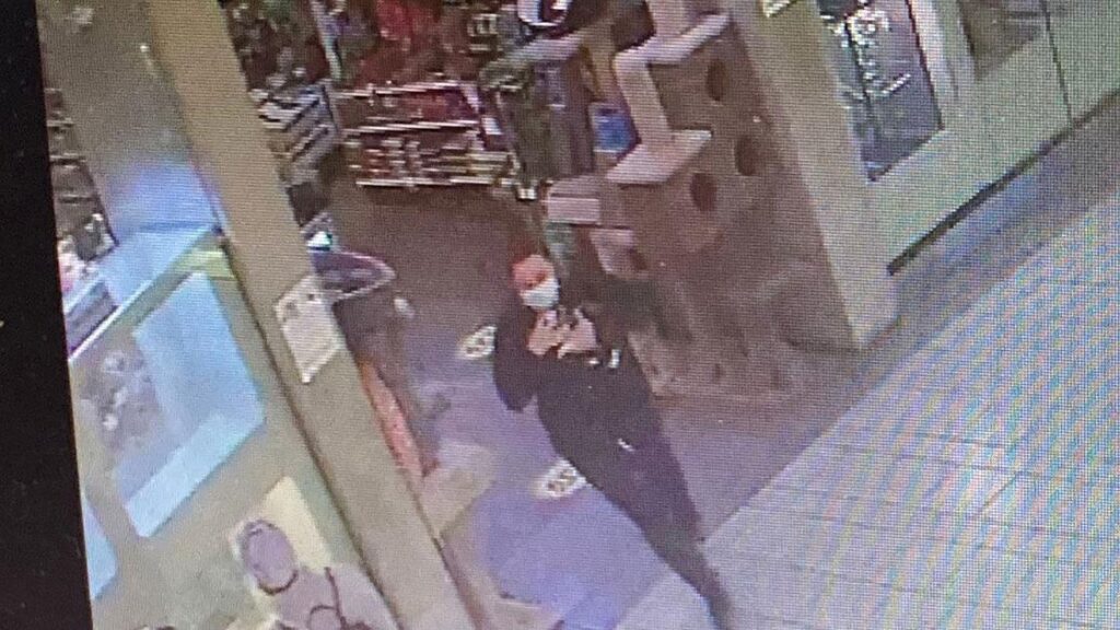 Police searching for woman accused of stealing puppy from Vancouver